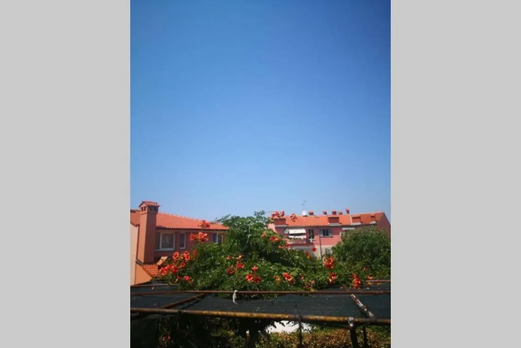Casa Di Nonna Pina, Kuca U Blizini Arene Apartment Pula